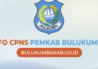 PENGUMUMAN SELEKSI CPNS PEMKAB BULUKUMBA TAHUN 2019